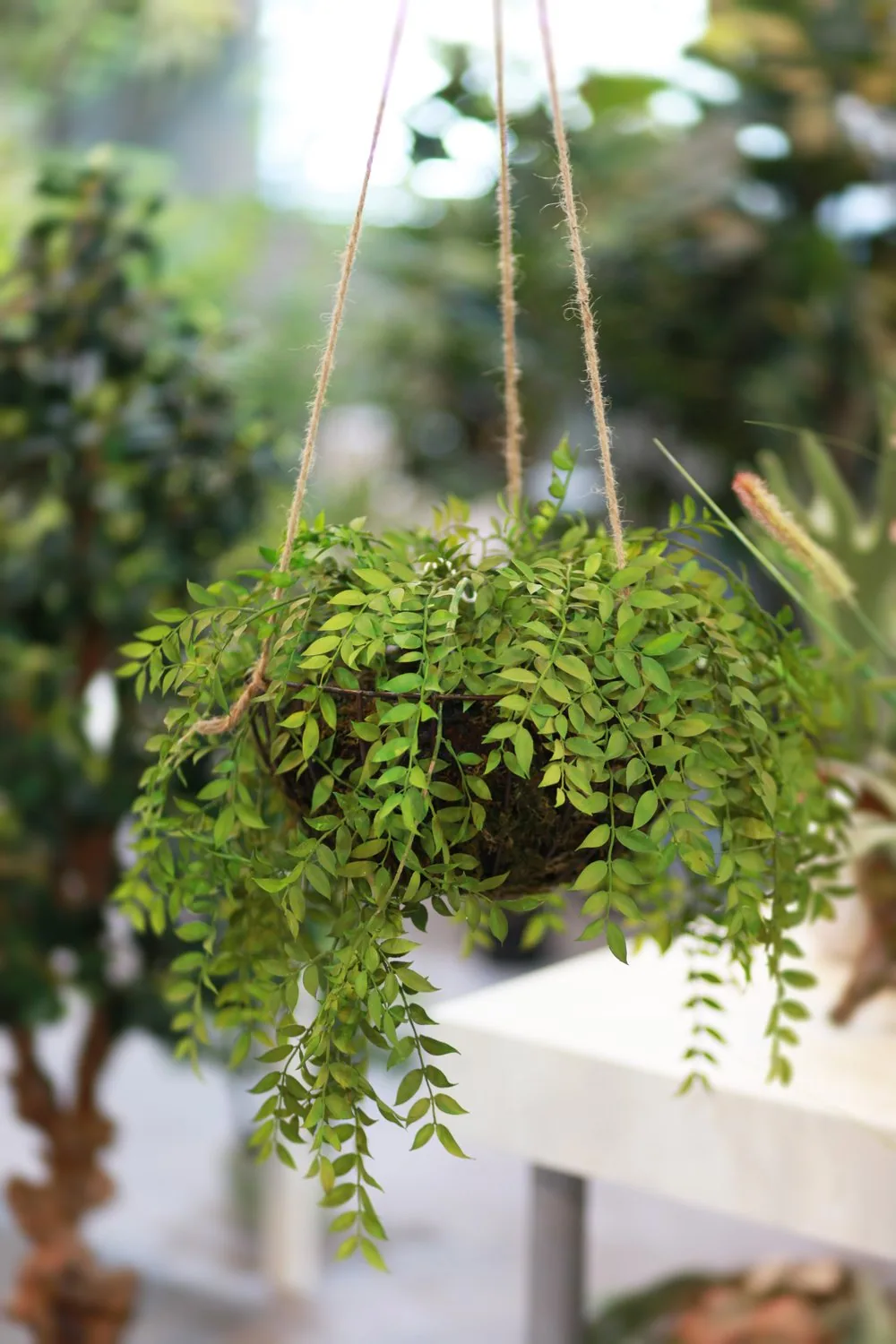 Artificial Hanging Kokedama
